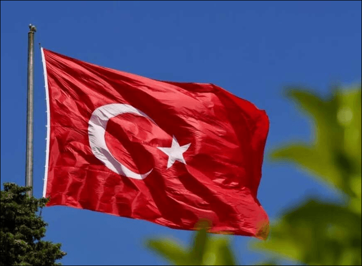 17689894711968182885