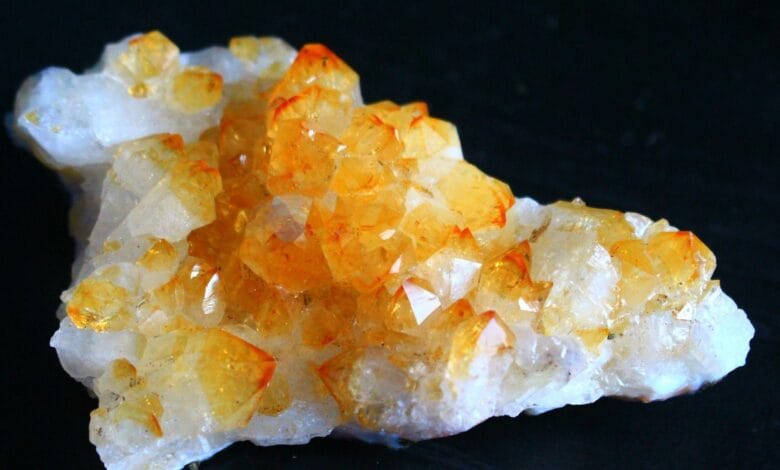 17701937091068615447