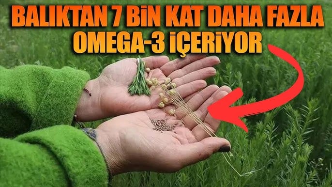 17702956141010092885