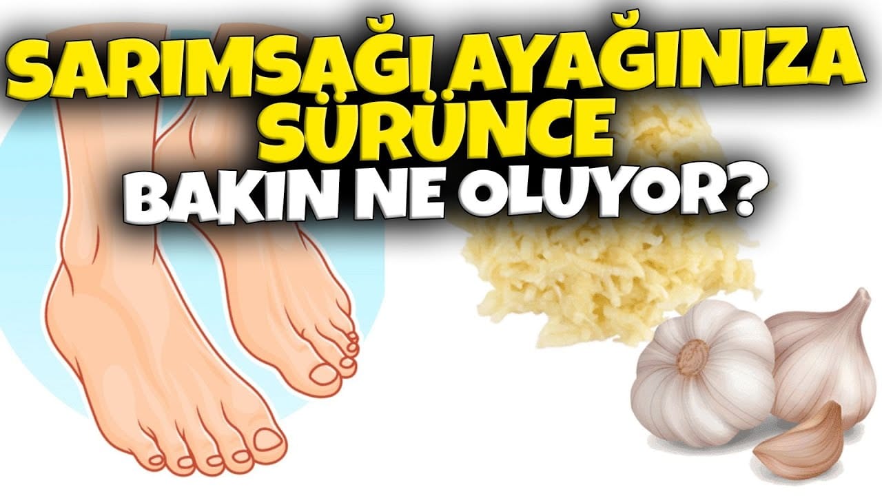 17707509651772025211