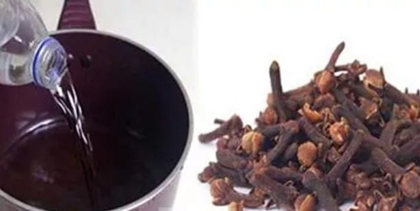 17708052281886238164