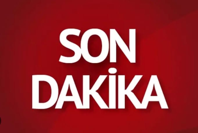 17717075661846656015