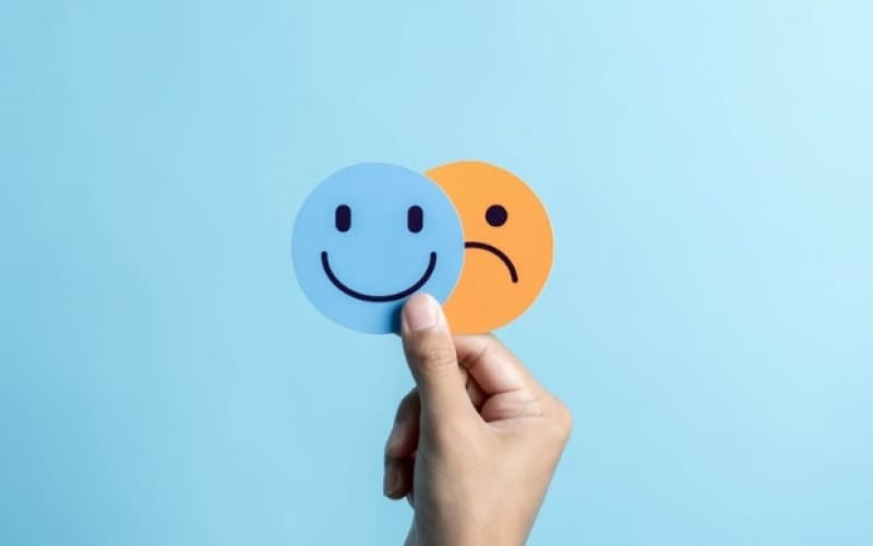 17725325611769100529