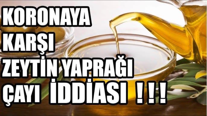 17726209221595854371