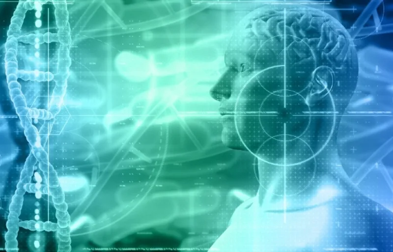 17727433151188740120