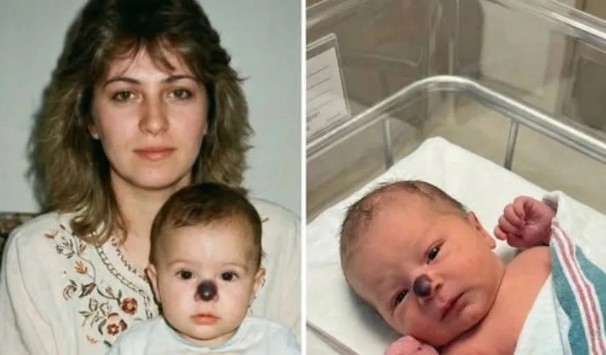 17732567301912506571