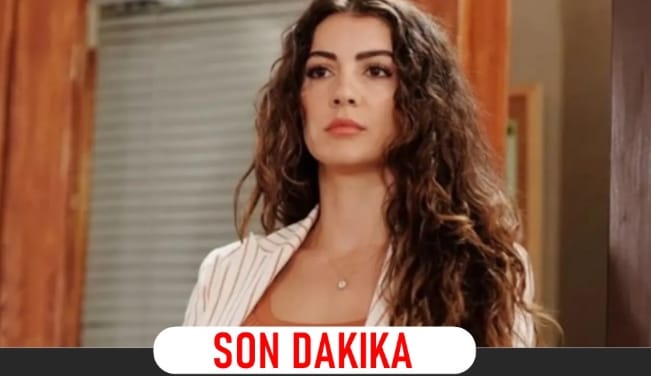 17738352801758214837