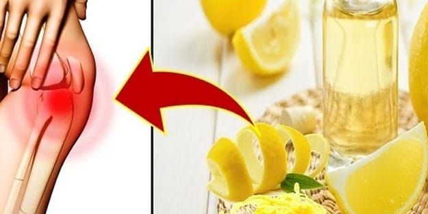 17753092961341925481