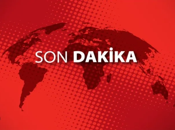 17755970462144129386