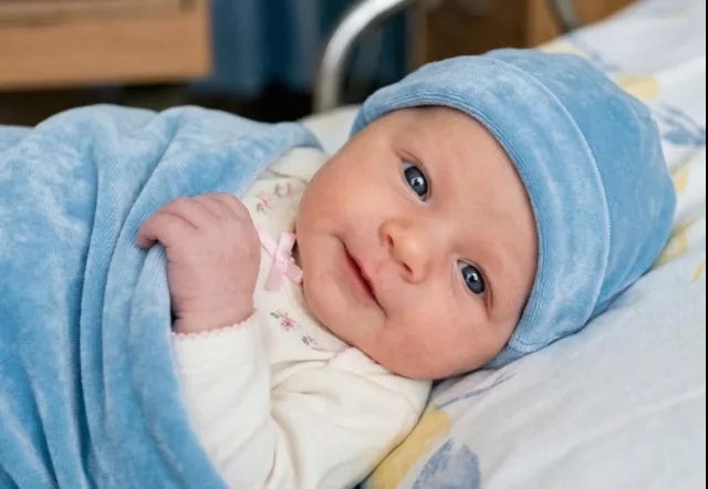 17759103341968876545