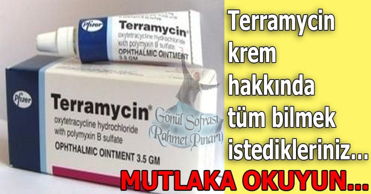 17759369361825326706