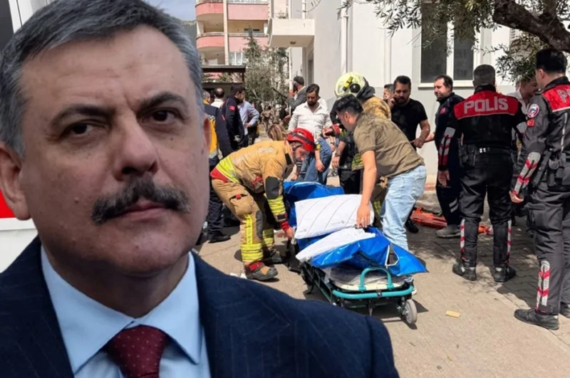 17762830441402510226